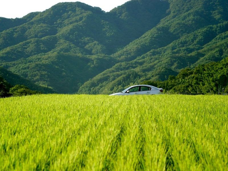 Japan huurauto car natuur