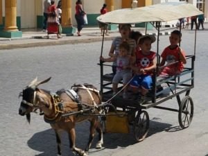 Geit trekt een kar met meerdere kinderen over een straat in Cuba