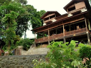 Indonesia-sumatra-Tangkahan resort