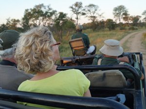 People in an open safari vehicle on a game drive.