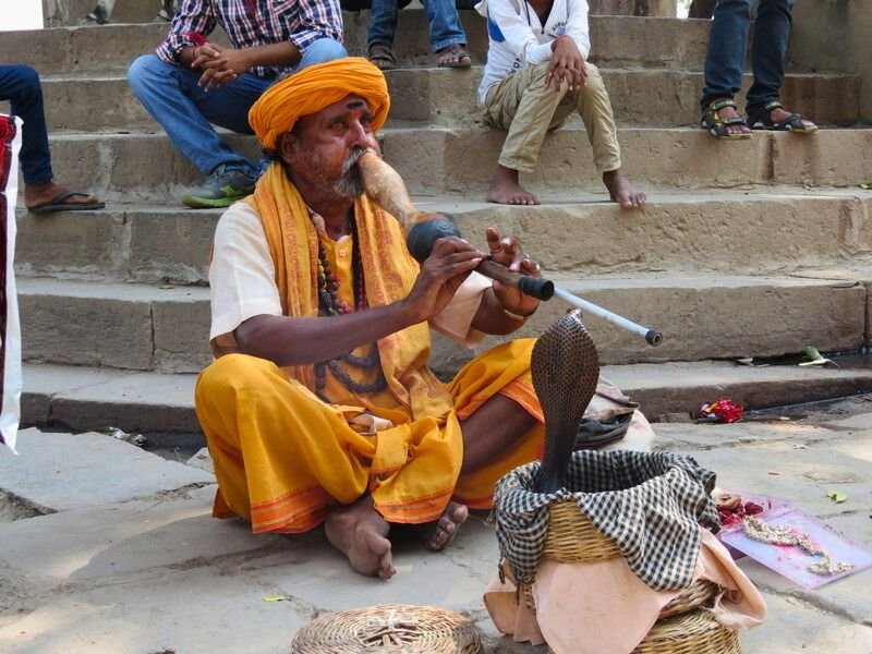India Jaipur meneer met cobra