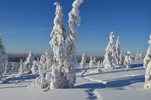 telefoonnummer Lapland