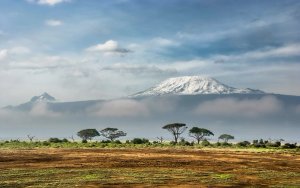 telefoonnummer Tanzania en Kenia