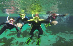 snorkelen met zeekoeien in Florida