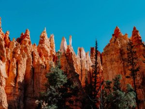 Bryce Canyon, Hoodoos