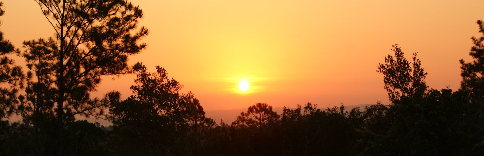 Feloranje zon zakt achter een donkere boomlijn bij zonsondergang in Cuba