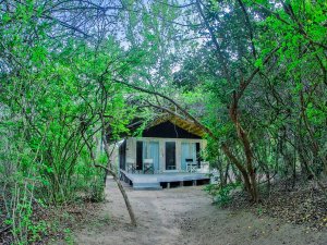 hotel yala sri lanka