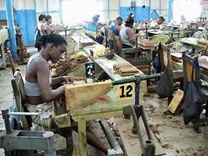 Sigarenfabriek in Cuba waar ambachtslieden met de hand sigaren rollen in een traditionele werkplaats