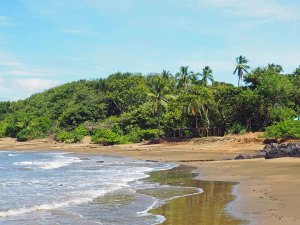 Pedasi strand