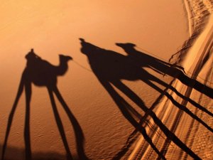 Merzouga - Marokko schaduw kameel