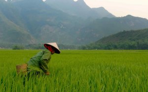 Vietnam