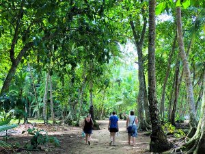 Manzanillo wandeling
