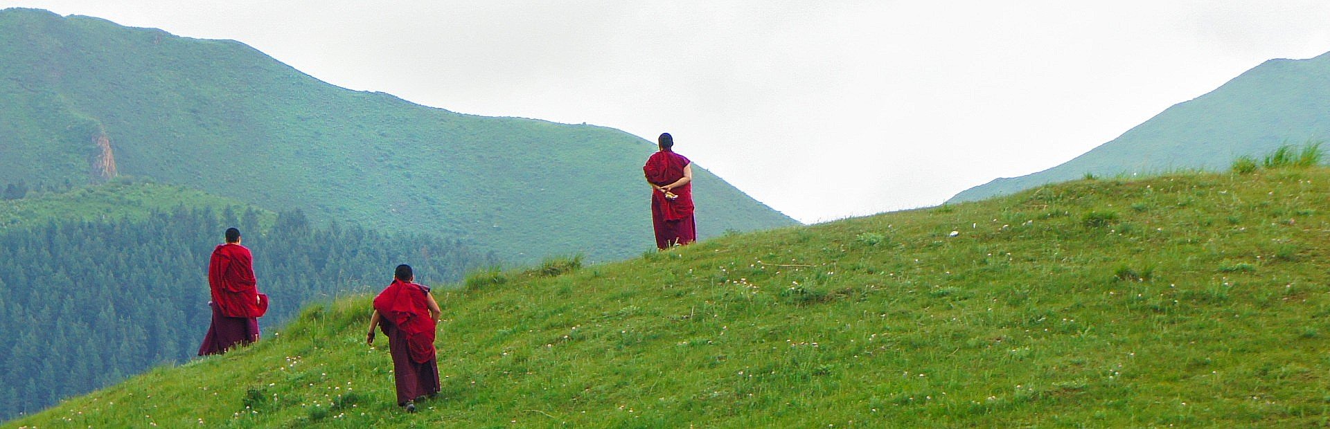 Rondreis China