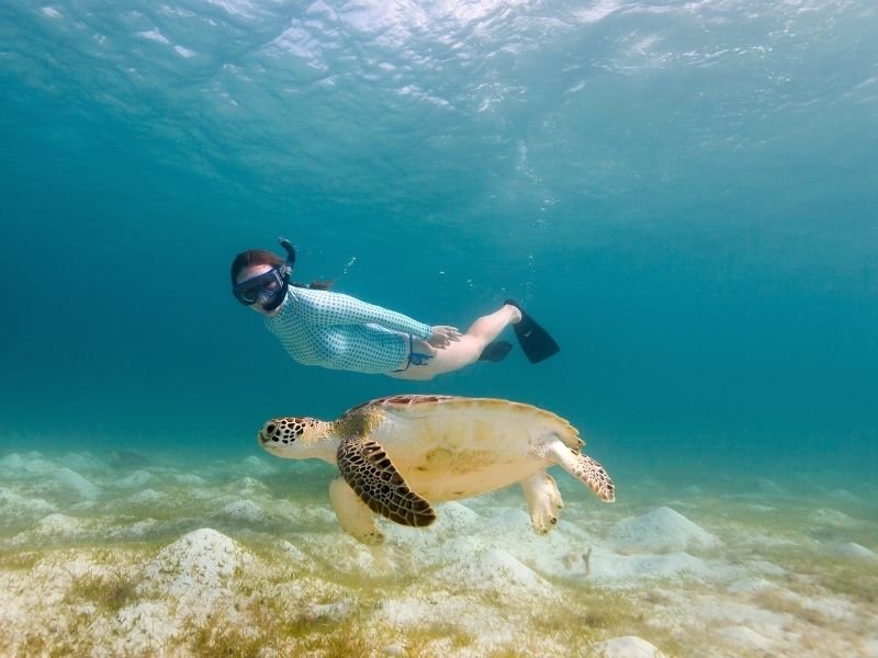 snorkelen met schildpadden