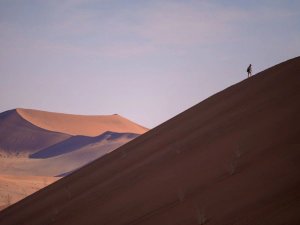 Sossusvlei in Namibie