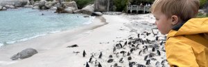 Jonge jongen in een gele jas kijkt naar pinguïns op een strand in Zuid-Afrika