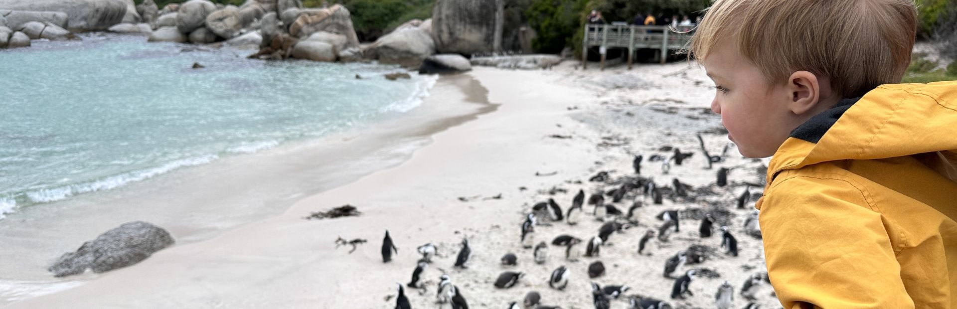 Jonge jongen in een gele jas kijkt naar pinguïns op een strand in Zuid-Afrika