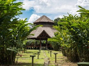 amazon jungle bungalows