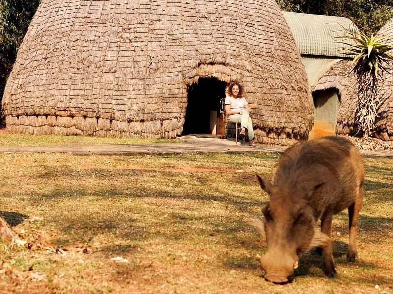 Bijenkorfhuisje Pumba Zuid-Afrika