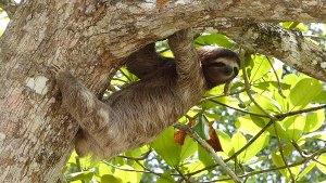 costarica