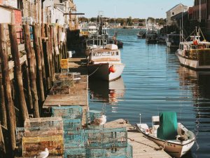 Portland Maine lobster rolls
