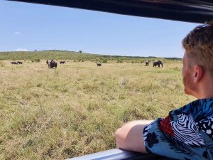 Safari in Afrika