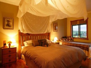 waitomo standard hotel