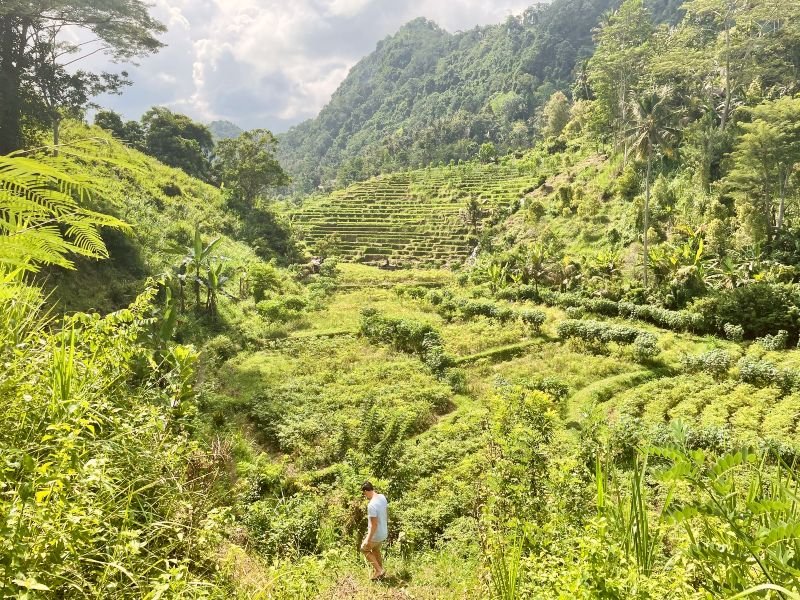 Wandeling Sidemen Bali