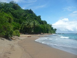 Isla de Cano