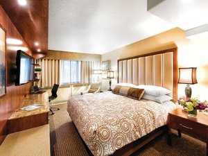 Amerika Fairbanks - hotelkamer