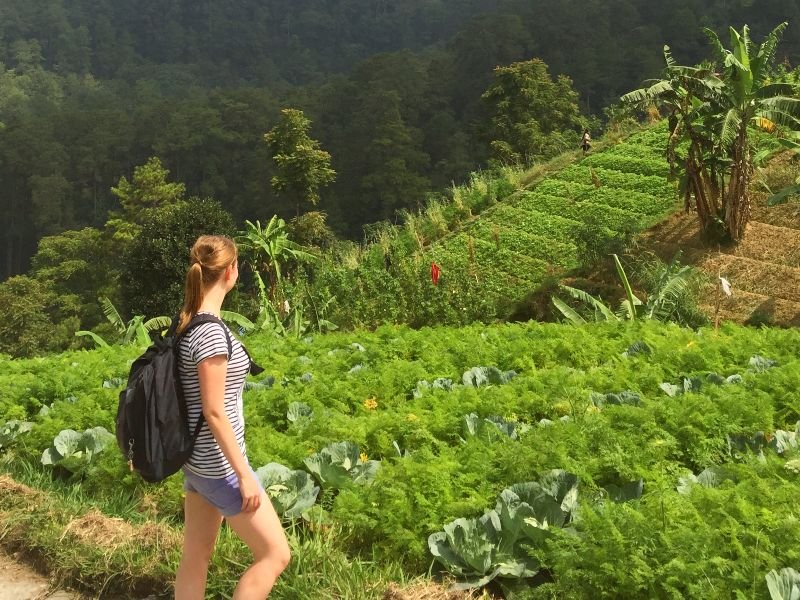 Wandelen Sukuh Java Indonesie