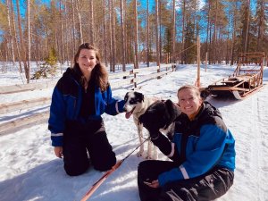 Riksja Lapland reisspecialisten
