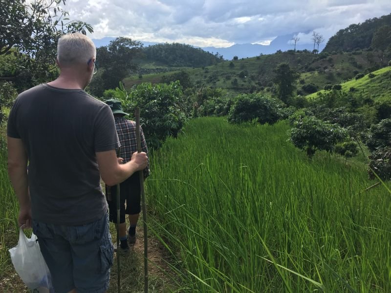 Twee mensen wandelen met wandelstokken over een smal pad tussen groene rijstvelden en struiken. Op de achtergrond glooiende heuvels en een bergachtig landschap onder een bewolkte lucht.