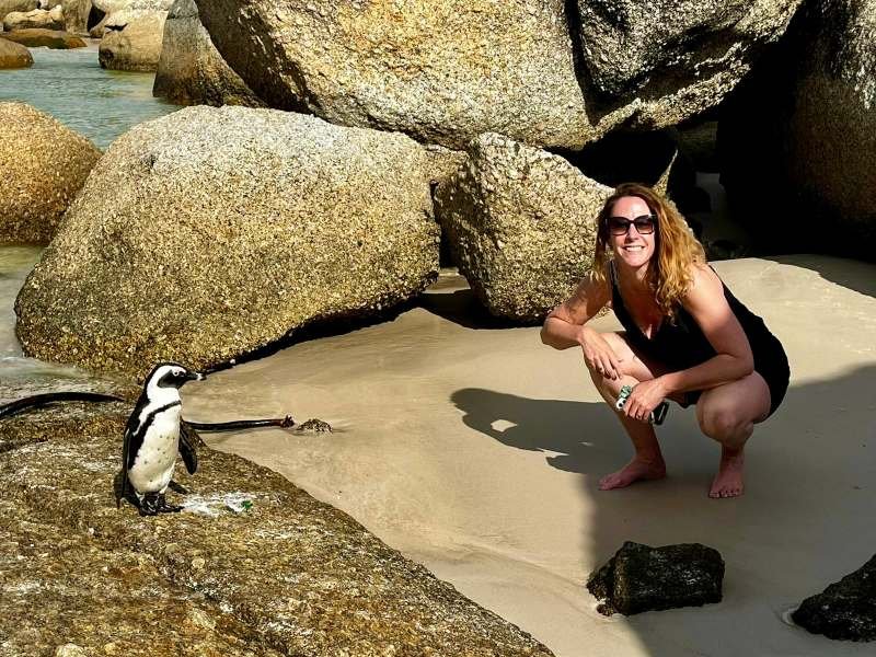 Pinguins spotten in Kaapstad Zuid-Afrika
