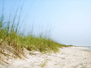 Pedasi strand