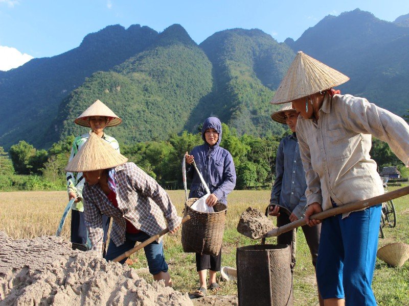 Mai Chau in Vietnam rijstvelden